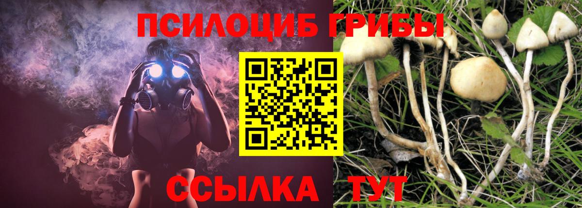 Галлюциногенные грибы Cubensis  Псилоцибиновые грибы Psilocybe  Вход с VPN  Лабытнанги 