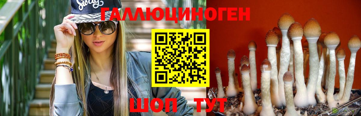 Псилоцибиновые грибы Magic Shrooms Лабытнанги